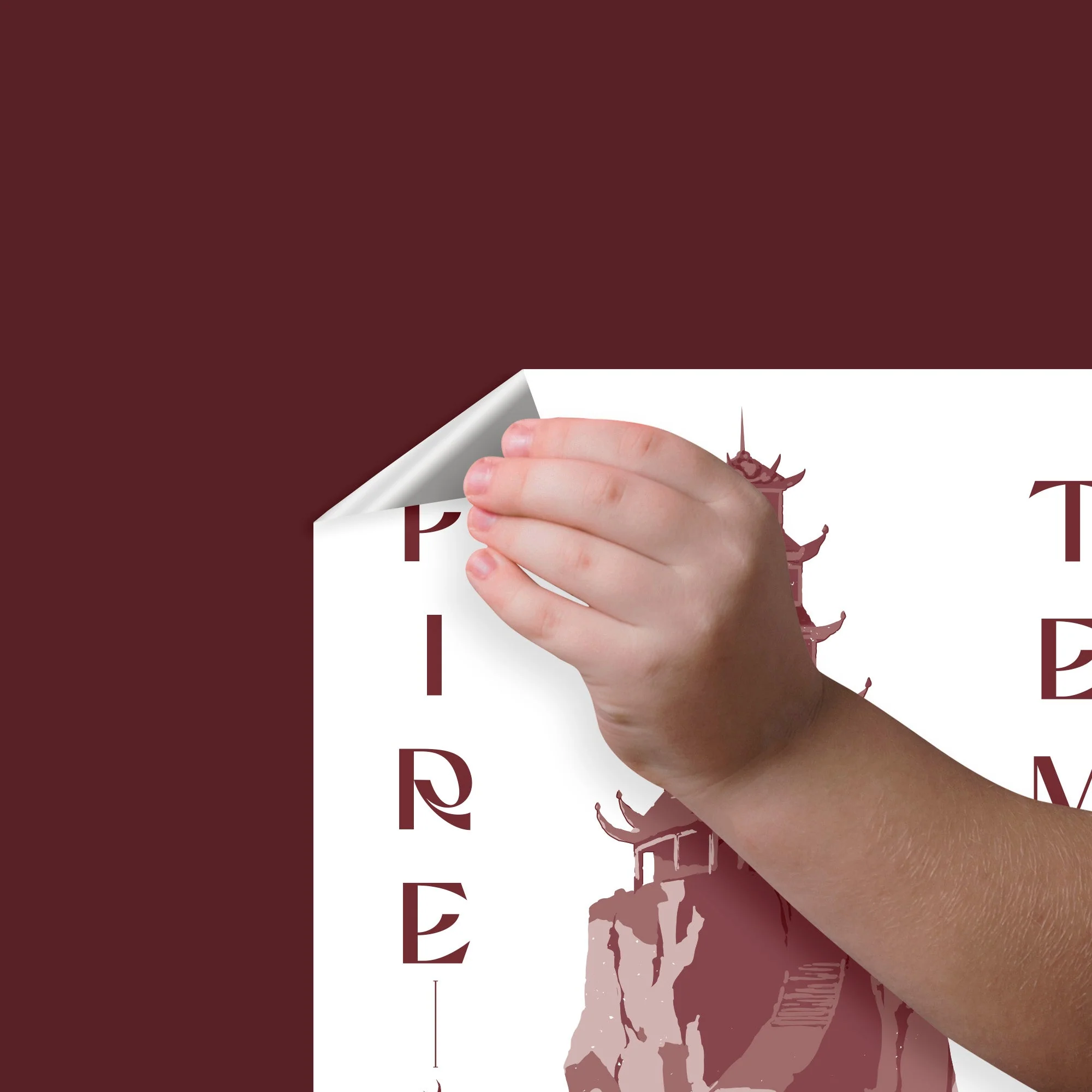 Iroh - Avatar The Last Airbender - RealBig Collection - Official Nickelodeon - Reusable Vinyl Wall Decals - Image 4