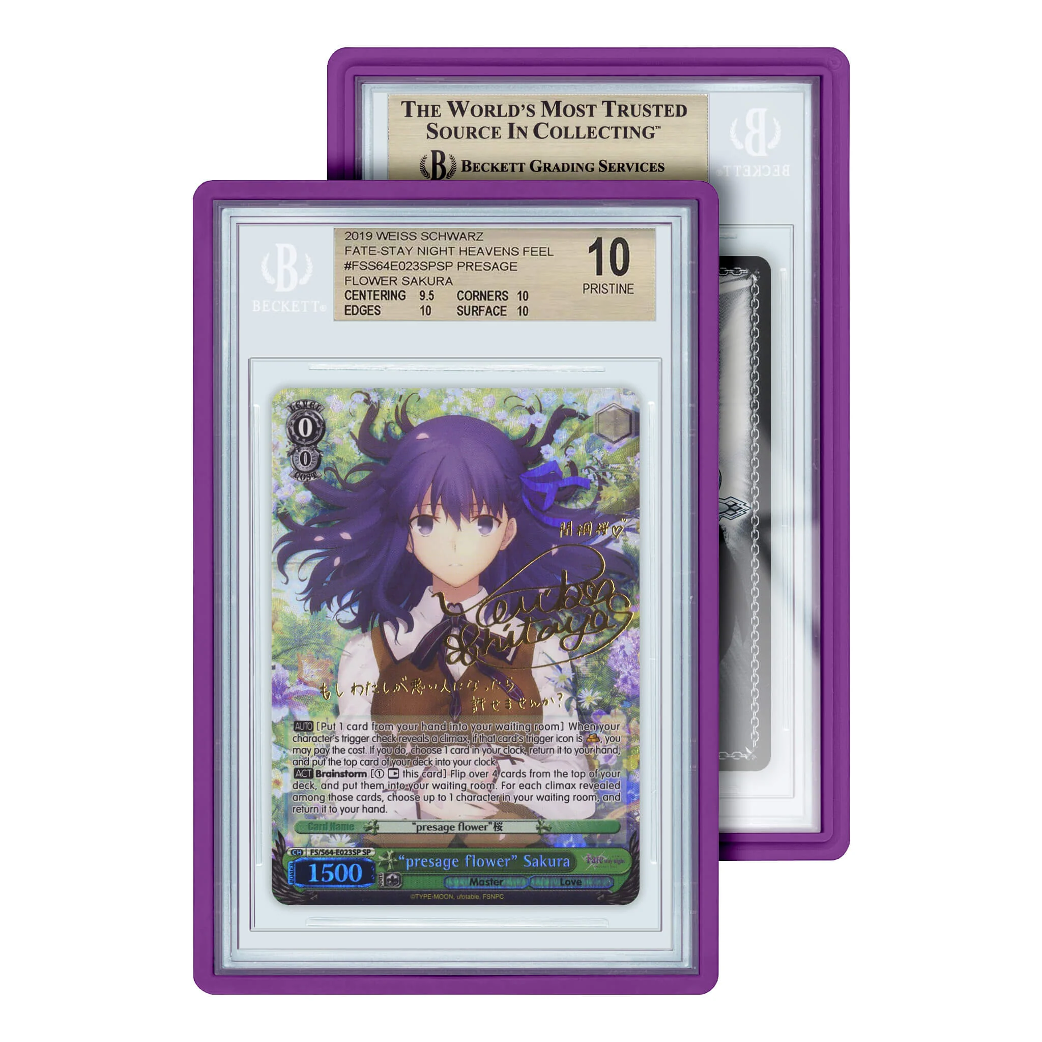 Standard Protective Case for Graded Cards (BGS) - GradedGuard - Image 13